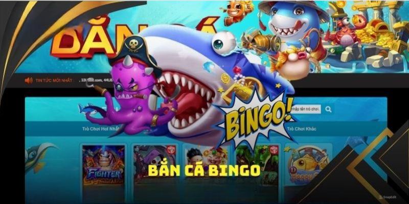 Bắn cá Bingo nổi bật trong số các trò bắn cá đa dạng